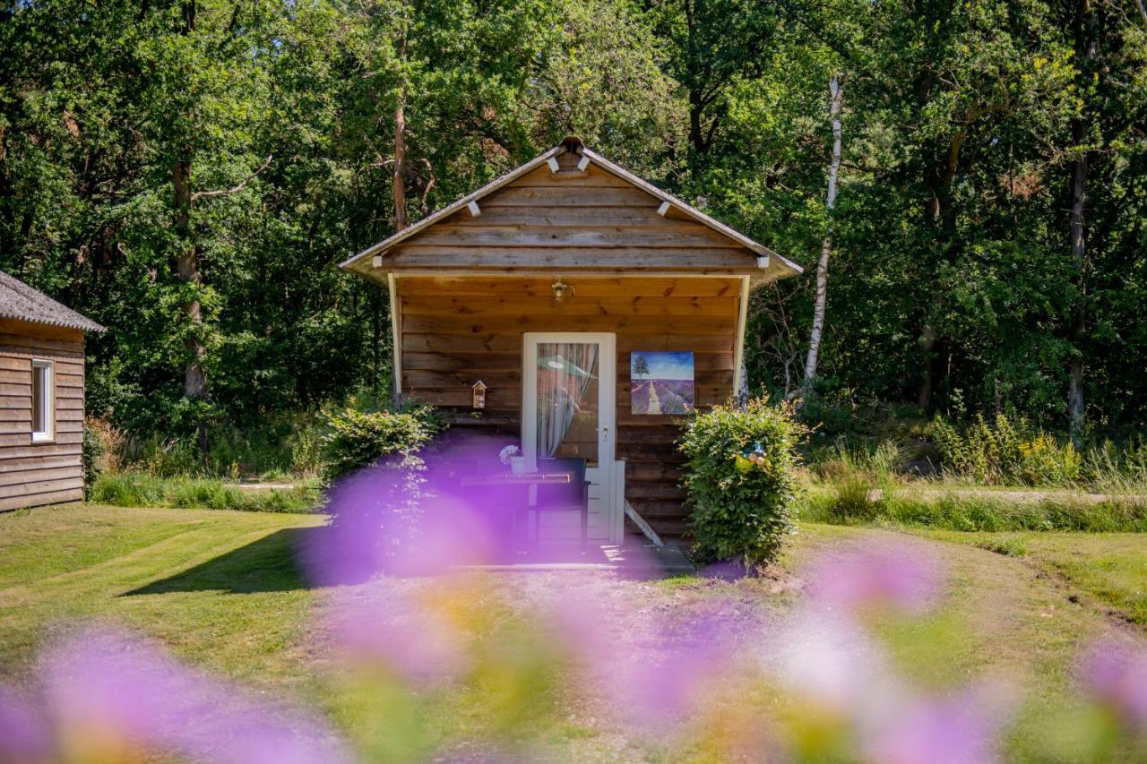 Natuurpoort Van Loon Loon op Zand Quarto foto